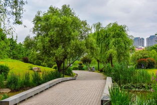 园林绿化工程公司 龙胜物业 在线咨询 汉阳园林绿化工程